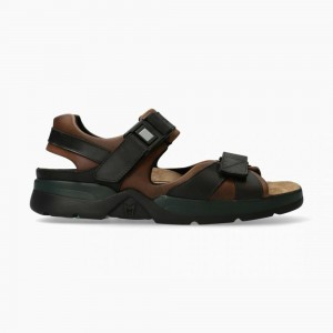 Sandalias Mephisto Shark Fit Hombre | LGF812645