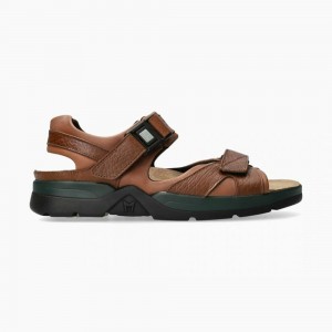 Sandalias Mephisto Shark Fit Hombre | LPU145803