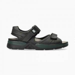 Sandalias Mephisto Shark Fit Hombre | PLR578921