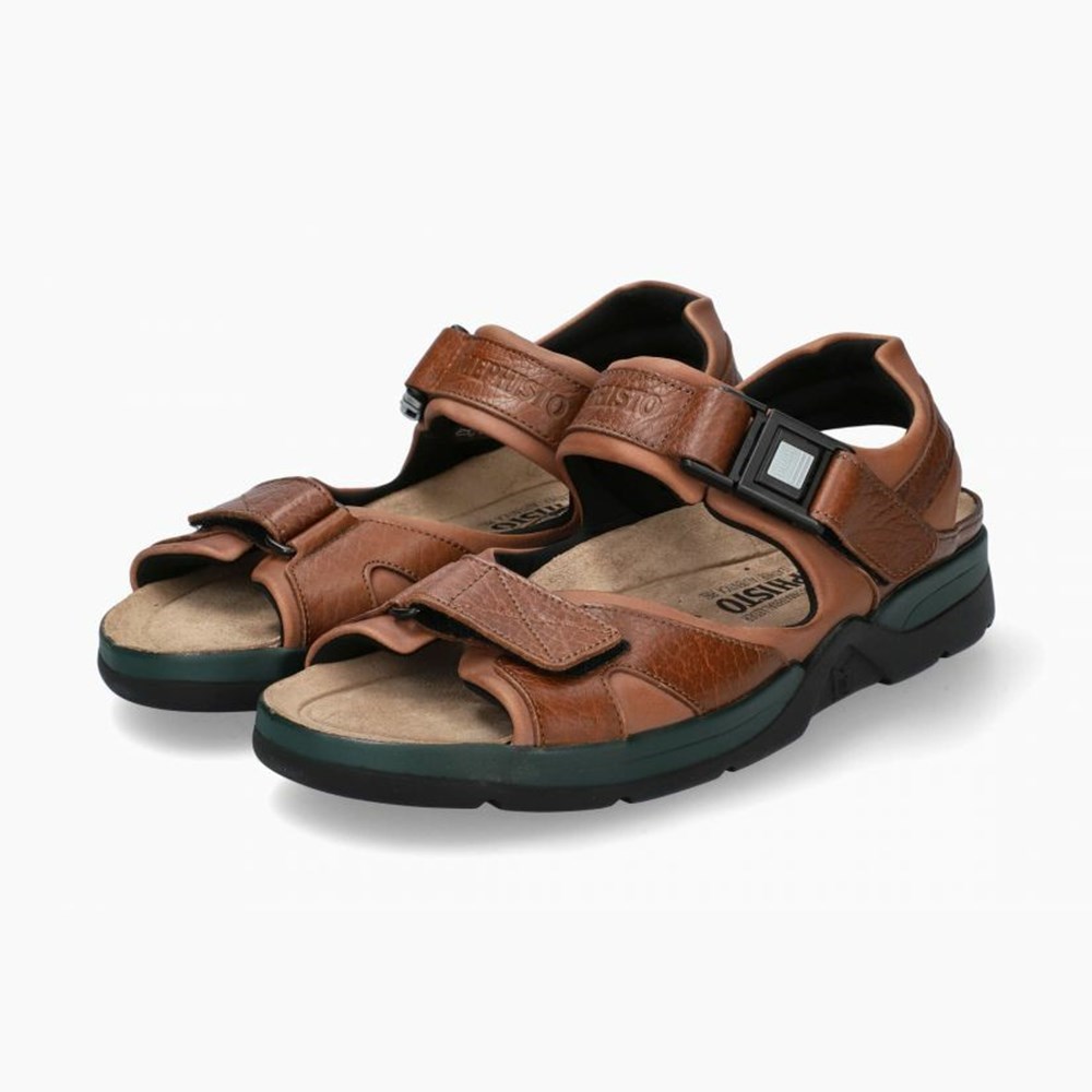 Sandalias Mephisto Shark Fit Hombre | LPU145803